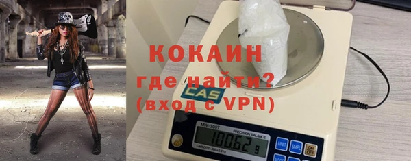 крисы Абаза