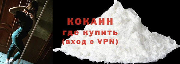 крисы Абаза