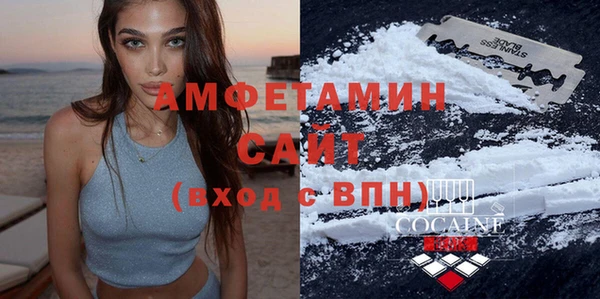 крисы Абаза