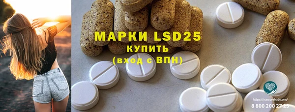 прущие грибы Абдулино