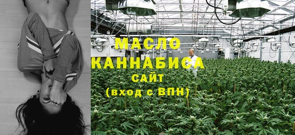 прущие грибы Абдулино