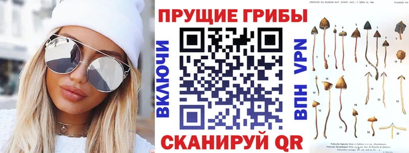 Псилоцибиновые грибы Magic Shrooms  Торопец 